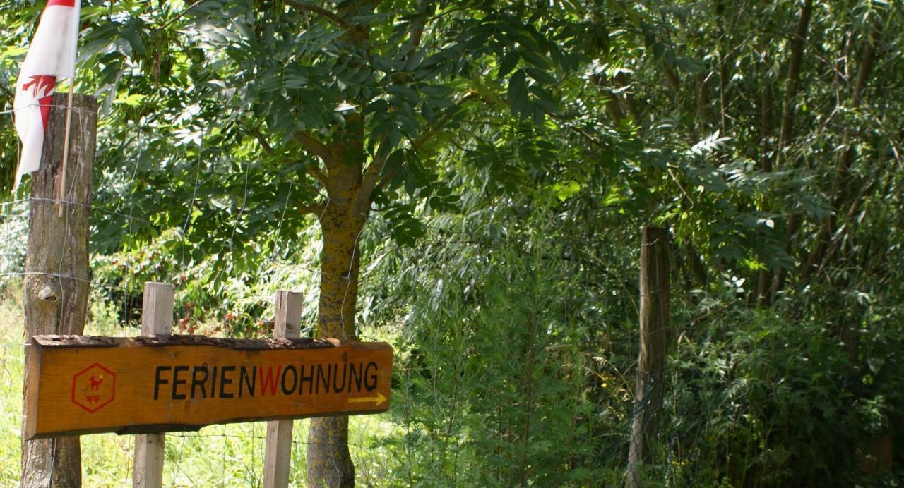 Ferienwohnung Fuchsberge Letschin Eksteriør bilde